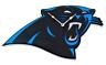 0847624033041 Unbranded Carolina Panthers Fan Foam Logo Wall Clock