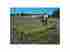 115049 Jaypro Sports High Stepper Agility Trainer Id