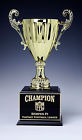 14goldcupperpet Sld Awards Fantasy Football