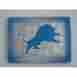 672723 Ddi Detroit Lions Magnets Case Of 24