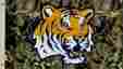 0158894 95715 Flag Bsi Products Lsu Camo 3x5 Grommets Realtree Tigers Louisiana State Univers 015889957154