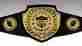 Lrg0 Champbelt Leather Sld Awards Championship Belt Fully Customizable Engraved Or Color Insert