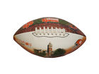 3169072 Deflated Clemson Football Id
