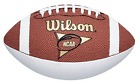 F1696 Wilson Ncaa Mini Autograph Football