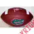 Wilson-f1738-gators F1738 Creative Sports Enterprises Wilson Florida Gators Full Size Composite Nfl Football