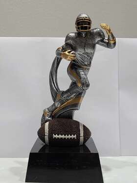 Mx709 Motion Xtreme Honor Your Fantasy Football Stars With Trophy Great Deal