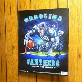 25788741631 Nfl- Carolina Poster Decor 1995-1997