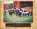 Oak79 Dave S Trophies Football Cheer Coach Sponsor 7 X 9 Picture Plaque