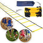 Pd-2 Strong Camel 8m Strength Speed Training Agility Ladder Cones Kit Soccer Football Basketball 0008568791651