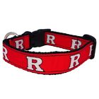 Pitt-collar-small All Star Dogs Ncaa Rutgers Scarlet Knights Dog Collar Team Color Small 893613028413