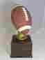 Sbr152 16 Color Football Trophy