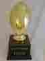Sbr252 16 Gold Football Trophy