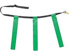 Tffaxgn Champion Sports Triple Flag 710858010211