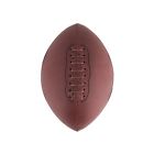 Wembley Tailgate Pigskin Vintage Style Football 017149739869