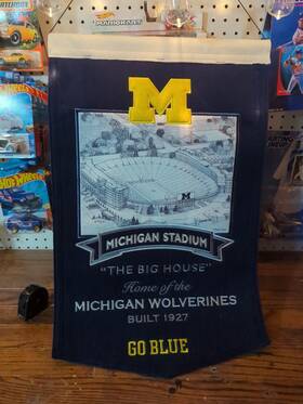 Winning Streak 674088807006 College Michigan Wolverines Wool Pennant 24x15