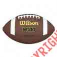 Wtf1661 Official Composite Size Wilson Ncaa Football Leather