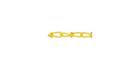 Z146ychain Athletic Connection 10-yard Replacement