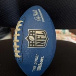Wilson The Duke Nfl "mini" Football Blue Roger Goodell - Mint. Fixed Price $199.00.