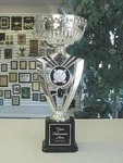 Golf Silver Cup Individual Award 13 3/4" Tall Trophy Free Engraving J5 #. Fixed Price $33.95.
