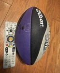 Wilson Nfl Street Football Purple Colorway Gamecube Xbox 2004 Promo Rare. Fixed Price $40.00.