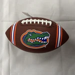 Franklin Sports Ncaa Florida Gators Kids Youth Football - Official College Team. Fixed Price $31.00.