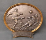 Soccer Male Trophy Resin Oval Plaque Large Award Pdu. Fixed Price $5.99.