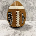 Passback Junior Composite Football, Ages 9-13, Youth BROWN1. Fixed Price $16.14.