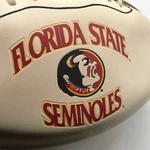 Florida State Football Seminoles White Panel. Old Logo. New Deflated Baden. Fixed Price $24.99.