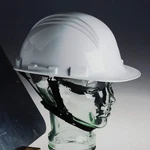 Honeywell North A99C100 Chin Strap,polyethylene,black 6XNE8. Fixed Price $14.63.