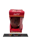Vtg Rawlings Rvb Football W/ Pump. Fixed Price $99.99.