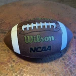 Wilson Ncaa Football Official Size Composite WTF1661ID. Fixed Price $13.99.