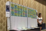 2025 Fantasy Football Standing Draft Board, 500+ Labels - Auction & Idp Options. Fixed Price $89.99.