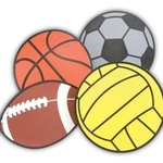Poly Athletic Ball Spots Vinyl Pool Block Special Needs. Fixed Price $29.99.