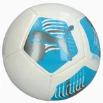 Puma Big Cat Soccer Ball. Fixed Price $35.00.