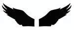 Philadelphia Eagles Black Wings Mini Football Helmet Decals 20 Mil 3M. Fixed Price $12.50.
