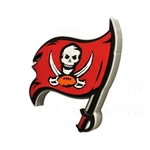 New Nfl Tampa Bay Buccaneers Logo 3D Fan Foam Holding Wall Sign 16.6? X 14.7?. Fixed Price $33.70.