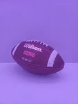 Wilson Ncaa Red Zone Bronze Series Pee Wee Size Football. Fixed Price $18.95.