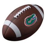 Nike Florida Gators Spiral Tech Replica Football. Fixed Price $39.95.