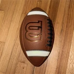 Wilson Gst Youth Composite Leather Football Brown White Black. Fixed Price $35.00.