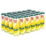 Wilson Championship Regular Duty Tennis Balls 12PK. Fixed Price $154.99.