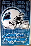 Carolina Panthers 22 Inch By 34 Poster 2002 Starline Nfl Sill Tube. Fixed Price $12.00.