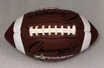 Champion Sport Football Pee Wee Size Fx Comp. Fixed Price $12.99.