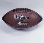 Wilson Nfl Force Football Junior Size. Fixed Price $17.94.