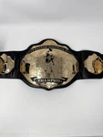 Fantasy Football Championship Belt Undisputed Trophy Adjustable. Fixed Price $69.99.