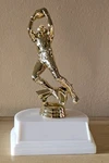 Trophy, Fantasy Football, Free Engraving, Award, 6.5" Tall. Fixed Price $7.00.