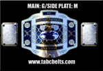Fantasy Football Custom Championship Tabc Belts!!!!. Fixed Price $150.00.