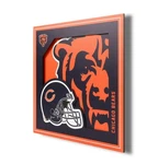 Chicago Bears Idna 12'' X 3D Logo Wall Art. Fixed Price $29.99.