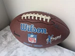Wilson Official Nfl Extreme Soft Grip Football. Fixed Price $19.99.