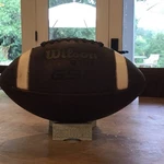 Fully Prepped & Game Ready New Wilson Gst Tdy Youth Size Leather Ball. Fixed Price $145.00.