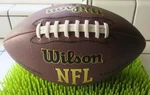 Wilson Nfl Official Touchdown Football Model WTF1695. Fixed Price $16.99.
